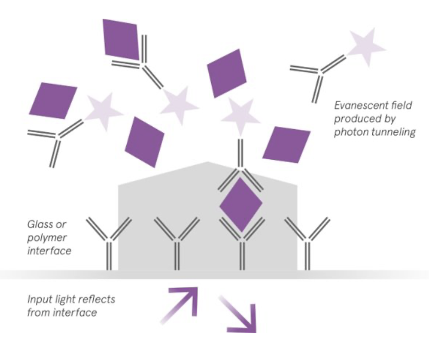 Designed to be Adaptable