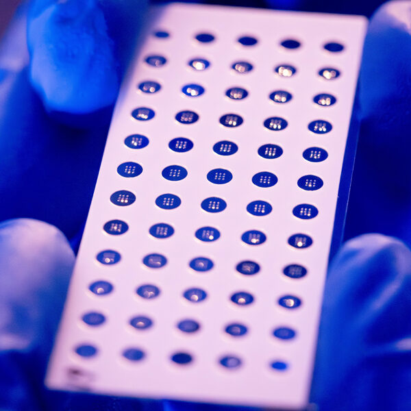 Panacea-small-sq-application