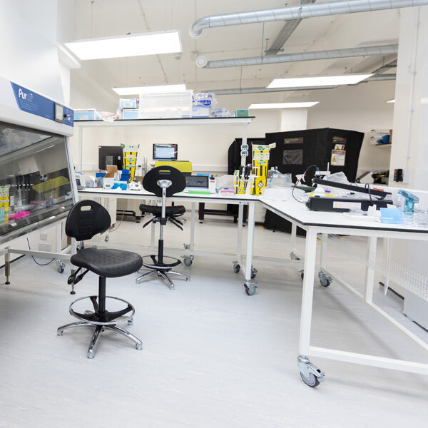 Panacea-small-sq-lab